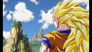 Goku & Vegeta What I've Done