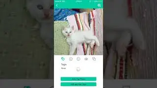 Auto-Tagging for Photos is Here with PhotoStats App