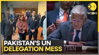 UNGA: Inclusion Of Shama Junejo In UN Delegation Sparks Controversy In Pakistan | WION