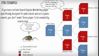 Robots.txt VS. Noindex Robots Meta Tag &ndash; When To Use Which?