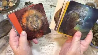 Animal Spirits Knowledge Cards Deck Flip Through  #oraclecarddeck #oraclecards #spiritanimal