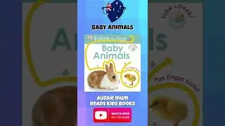 A Fun & Educational Adventure! 🦙🦁🐧🐻&zwj;❄️#shorts