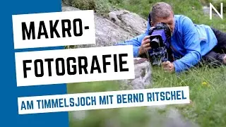 NOVOFLEX Makrofotografie am Timmelsjoch mit Bernd Ritschel