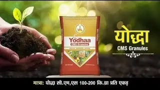 yodha CMS superb results | किसान की जुबानी #farming #wheat #agriculture