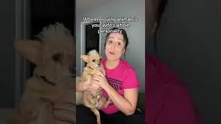 That escalated quickly.. #wife #animals #rescue