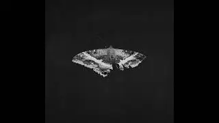 Kendrick Lamar - “Man at The Garden” x Tyler The Creator “Hey Jane” (Mixed by DreamNBeatz)