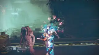 Destiny 2 Xur Location & Exotic Inventory. Week 102 8/23/2019