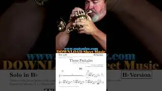 Insane high notes 😲🔥🎺👌