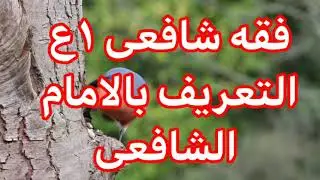 التعريف بالامام الشافعى الصف الاول الاعدادى