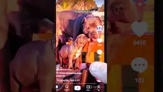 Infostealer Malware on TikTok: How 