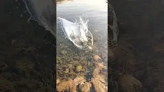 #stone#river#waves