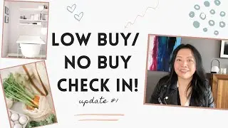LOW BUY / NO BUY year 2021 update: First low buy challenge check in!