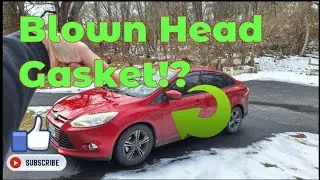 Ford Focus 2.0L HEAD GASKET Failure!? Never Thought I'd See This!