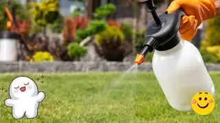 Effective Pest and Disease Management in Agriculture (2 Minutes)
