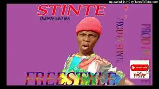 Stinte 