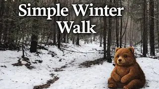 A simple walk through the forest.No talking. No rush.Just a quiet moment to slow down. 🐻🌲 