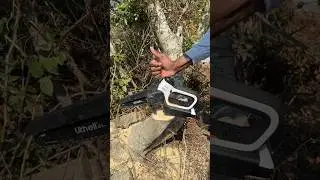 Litheli 20V 6&rdquo; Mini Chainsaw! #litheli #minichainsaw #tools #diy