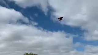 Batwing Test Flight 1