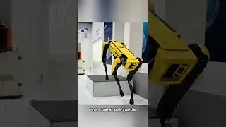 Встретилась с роботом-собакой Spot от Boston Dynamics 🤖🐕 #робот #технологии #роботсобака