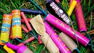 Polenb&ouml;ller - bunte Mischung 1#