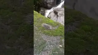 kabhi na dekh ne wala kida