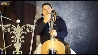 El Guitarrón Más Caro Del Mundo Con Oro y Diamante 💎😱