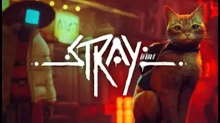 Stray - Chapter 8-12 - Finale (100% Walkthrough with All Memories - PC)