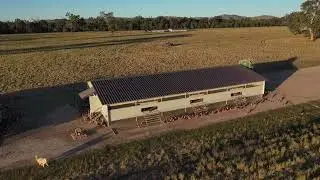 Holbrook Paddock Eggs Farm Operations Manager Job Ad