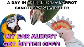 I Stayed at an Exotic Bird Rescue For 3 Days *VLOG* (PLEASE READ DESCRIPTION) |Ruby&rsquo;s Zoo