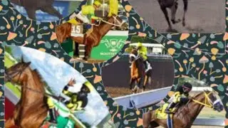 MICHELLE'S ANALYSIS OF SATURDAY'S RACE CARD