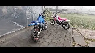 Yamaha Pw 80 start up, sound, walk around 