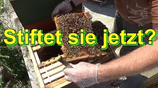 Stiftet sie jetzt?