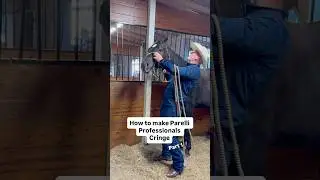 Only horse people understand this Parelli moment #horsetraining #parelli #relatable