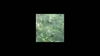 John Love - Jaded (Official Audio)
