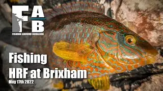 HRF Fishing at Brixham - May 17th 2022
