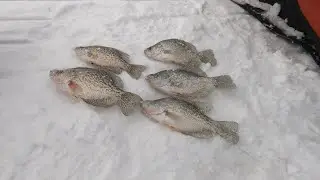 Breaking in my Summit Ice Shuttle - Big Eau Pleine Crappies