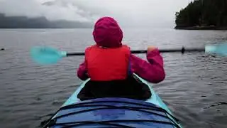 15 second Orca Sea Kayaking #1 1