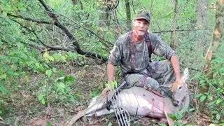 Public Land Treestand Placement