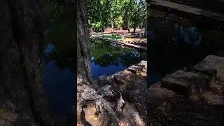 The Hidden Phimeanakas Temple #angkorwat
