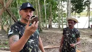 TIRINGA TENTANDO ABRIR UMA CASTANHA DO PAR&Aacute; NA AMAZ&Ocirc;NIA | COM&Eacute;DIA SELVAGEM  &reg;