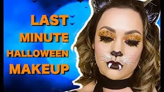 LAST MINUTE HALLOWEEN LEOPARD MAKEUP LOOK!