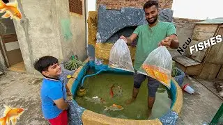 Big Fishes Le Kr Agaiy 😍