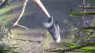Throwing rubberboots and mattyflips