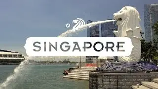 EF Singapore - Info Video