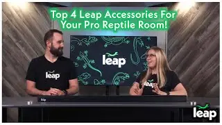 Top 4 Leap Accessories For Your Pro Reptile Room!