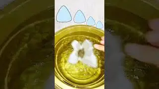 TRY TO GUESS HOW MANY STONES SANK IN THE WATER? #shortvideo #shorts