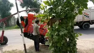 Pal agro industries tohana 9416242391
