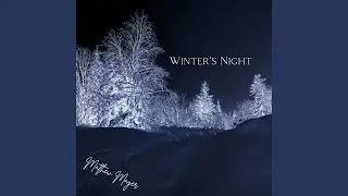 Winter's Night