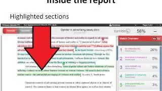 Как интерпретировать отчет Turnitin о проверке на оригинальность — руководство для студентов