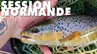 GROSSES TRUITES à la cuiller et au HairJig en NORMANDIE #almajigs